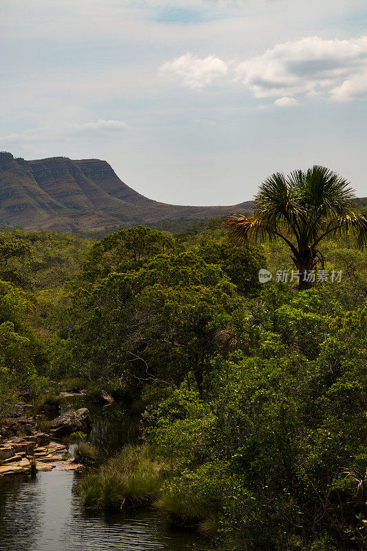 景观，Chapada dos Veadeiros, Goias，巴西